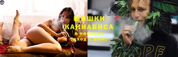 ПСИЛОЦИБИНОВЫЕ ГРИБЫ Новокубанск