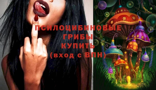 стаф Болотное
