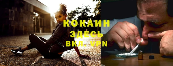 ПСИЛОЦИБИНОВЫЕ ГРИБЫ Новокубанск